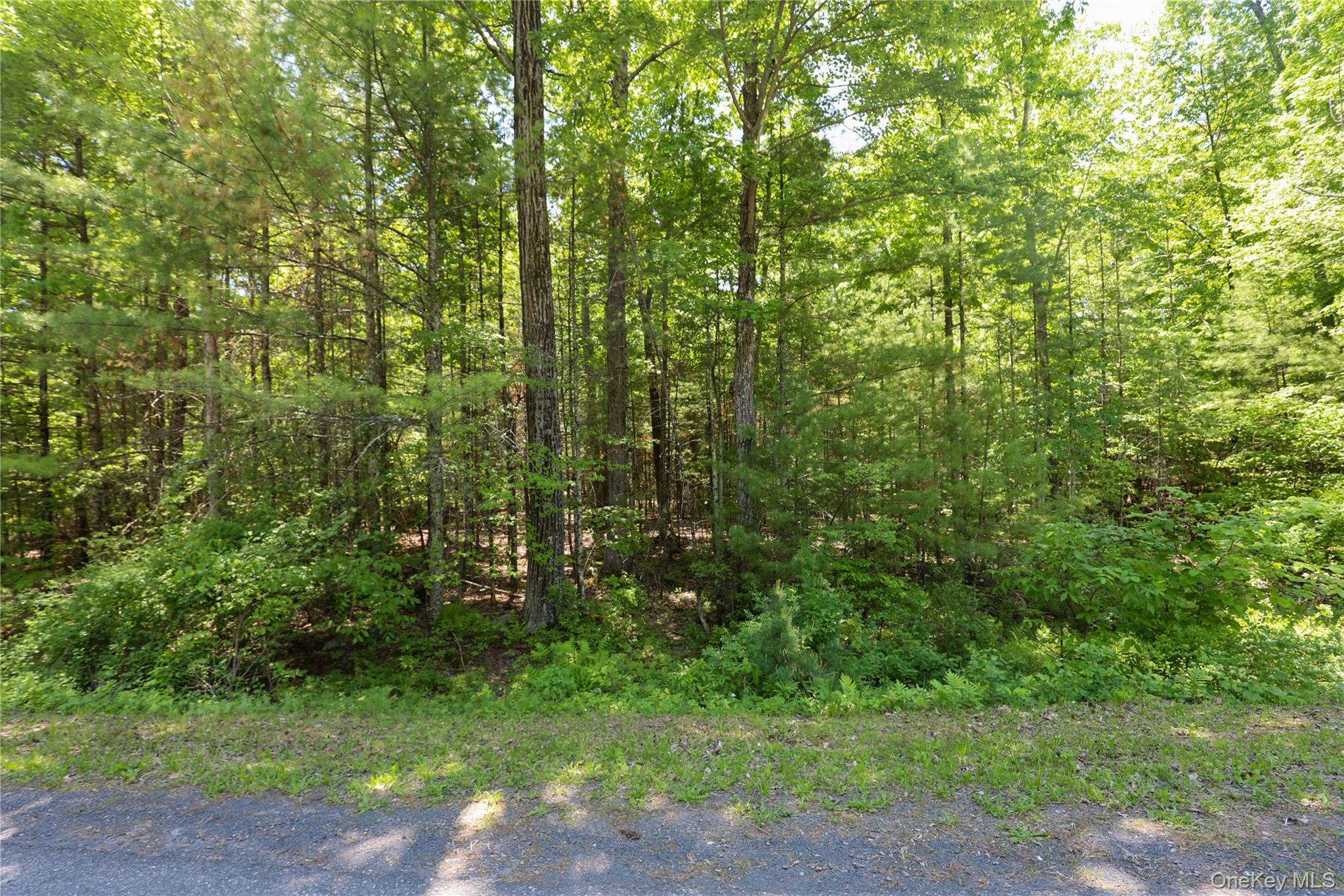 Tbd Bristol Hill Road Hurley, NY 12443 - Photo 17 of 17 a view of a yard with a trees