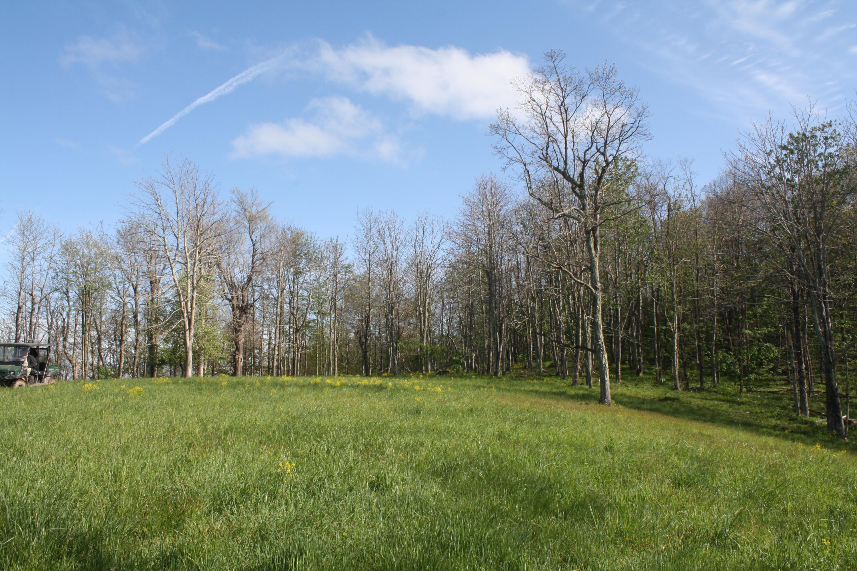1161 Plumley Mountain Road Sandstone, WV 25985 - Photo 62 of 138 Gallery Image 62