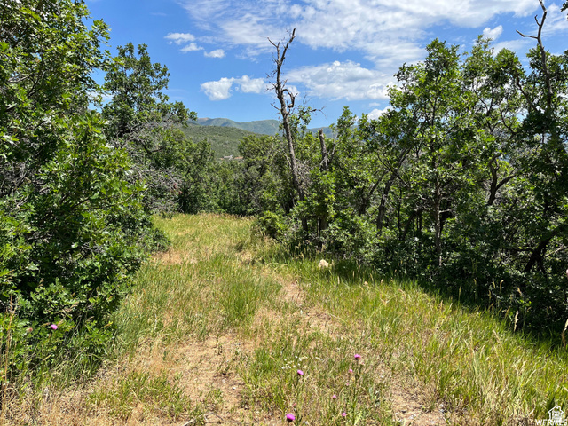 St, Unit 41 Springville, UT 84663 - Photo 6 of 12 View of mountain backdrop
