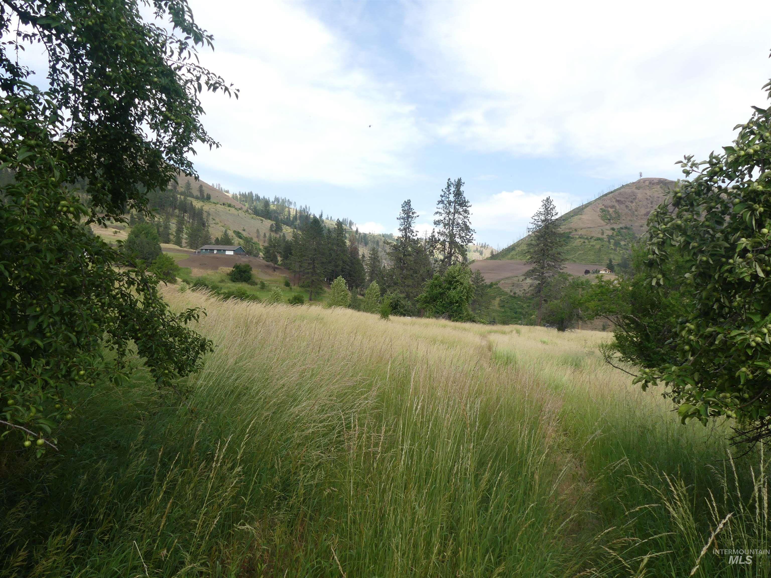 View of yard with a mountain view