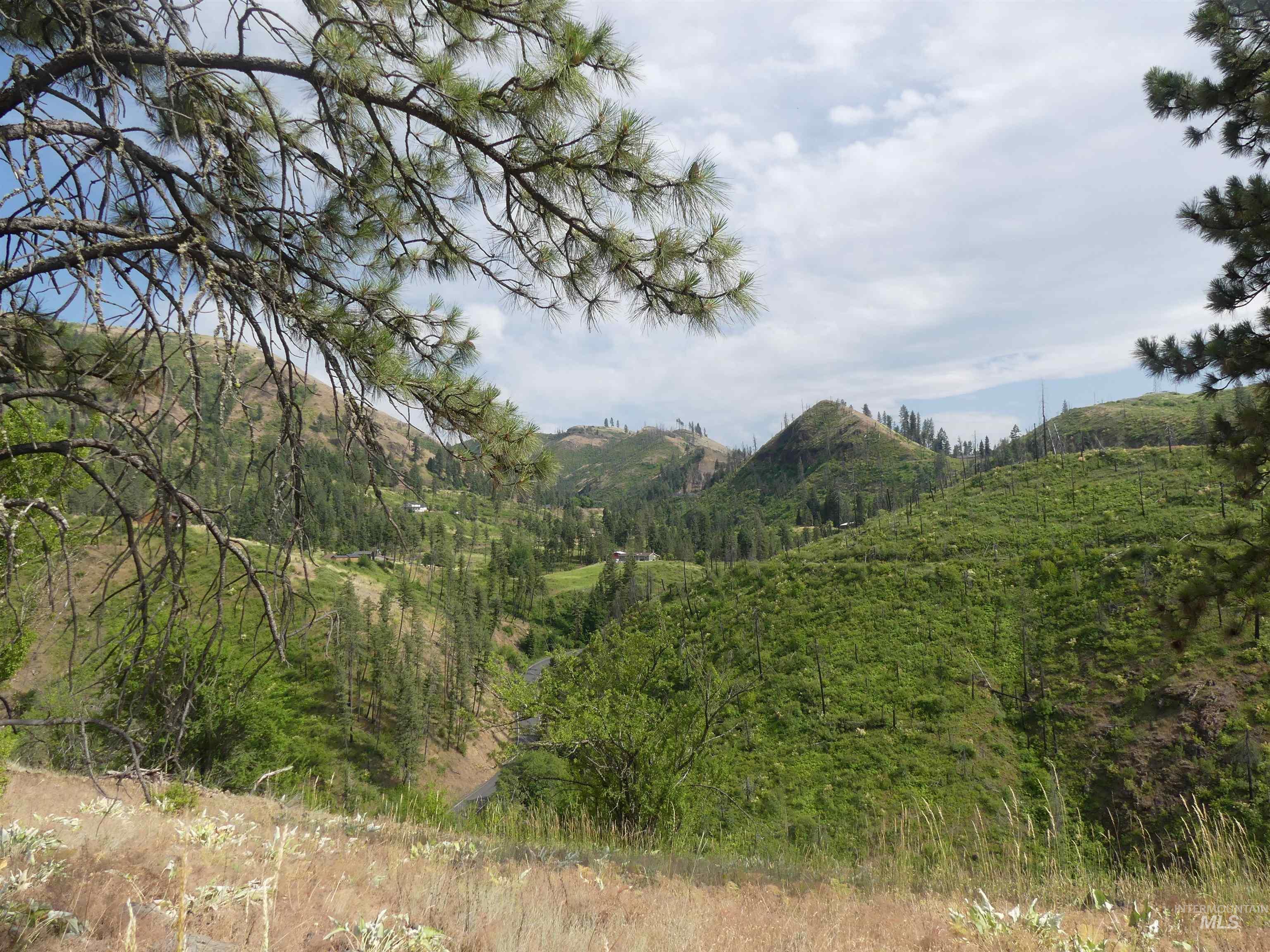 385 Glenwood Road Kamiah, ID 83536 - Photo 13 of 25 Mountain view