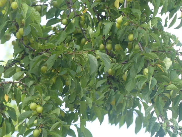 $145,000 | 385 Glenwood Road, Kamiah, ID 83536