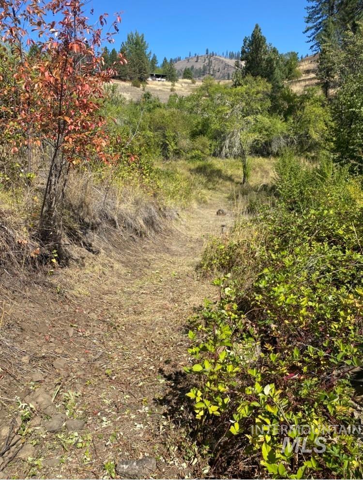 385 Glenwood Road Kamiah, ID 83536 - Photo 17 of 25 View of local wilderness