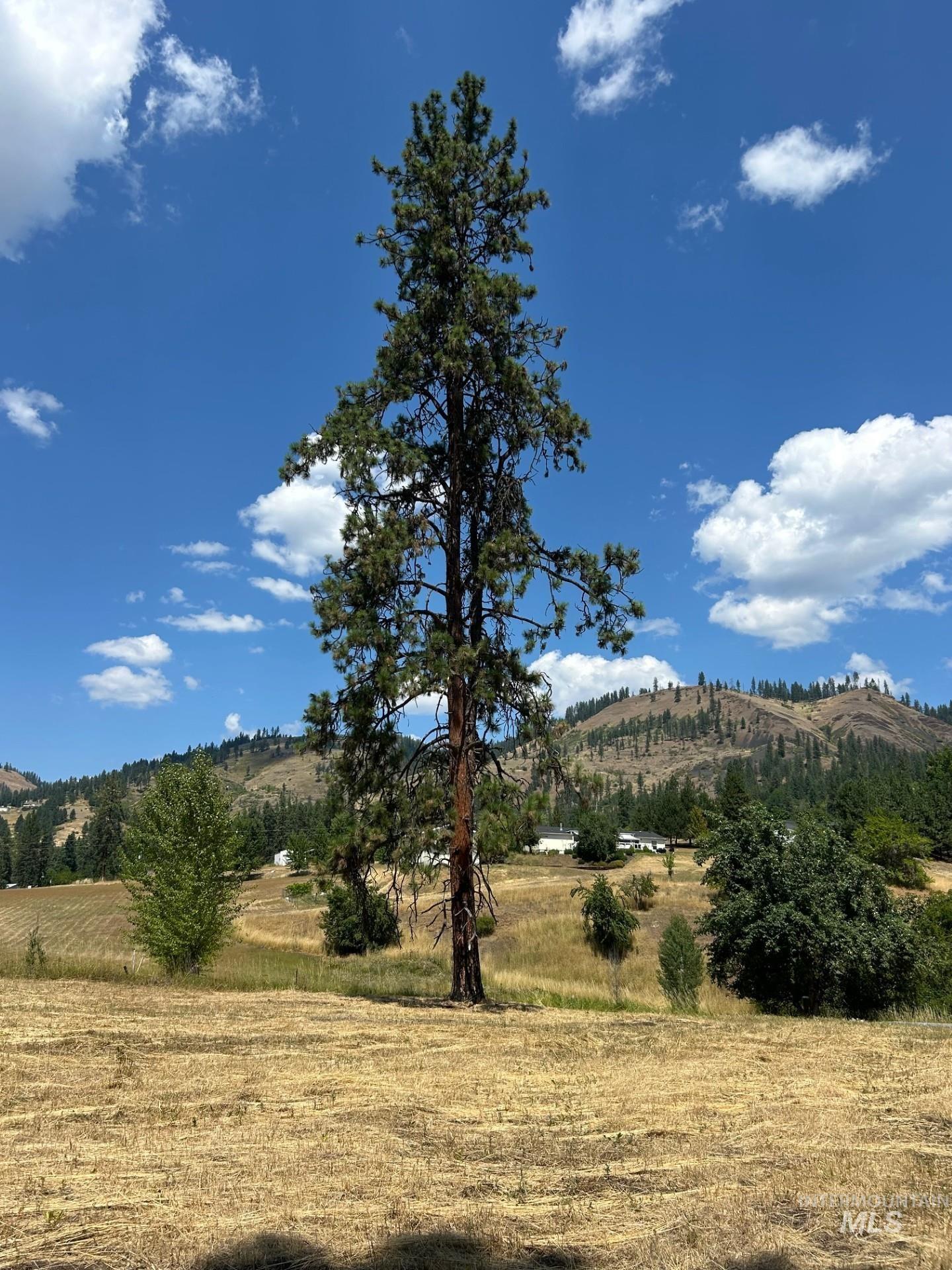 385 Glenwood Road Kamiah, ID 83536 - Photo 18 of 25 View of mountain backdrop featuring rural landscape
