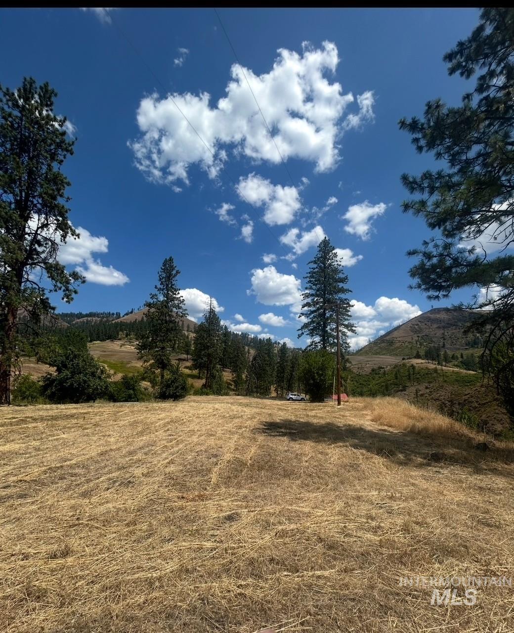 385 Glenwood Road Kamiah, ID 83536 - Photo 21 of 25 View of yard featuring a view of rural / pastoral area and a mountain view