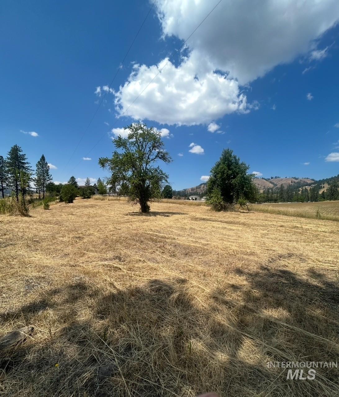 385 Glenwood Road Kamiah, ID 83536 - Photo 23 of 25 View of local wilderness with rural landscape