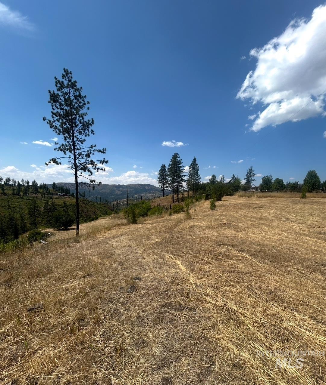 385 Glenwood Road Kamiah, ID 83536 - Photo 5 of 25 View of yard with a view of countryside