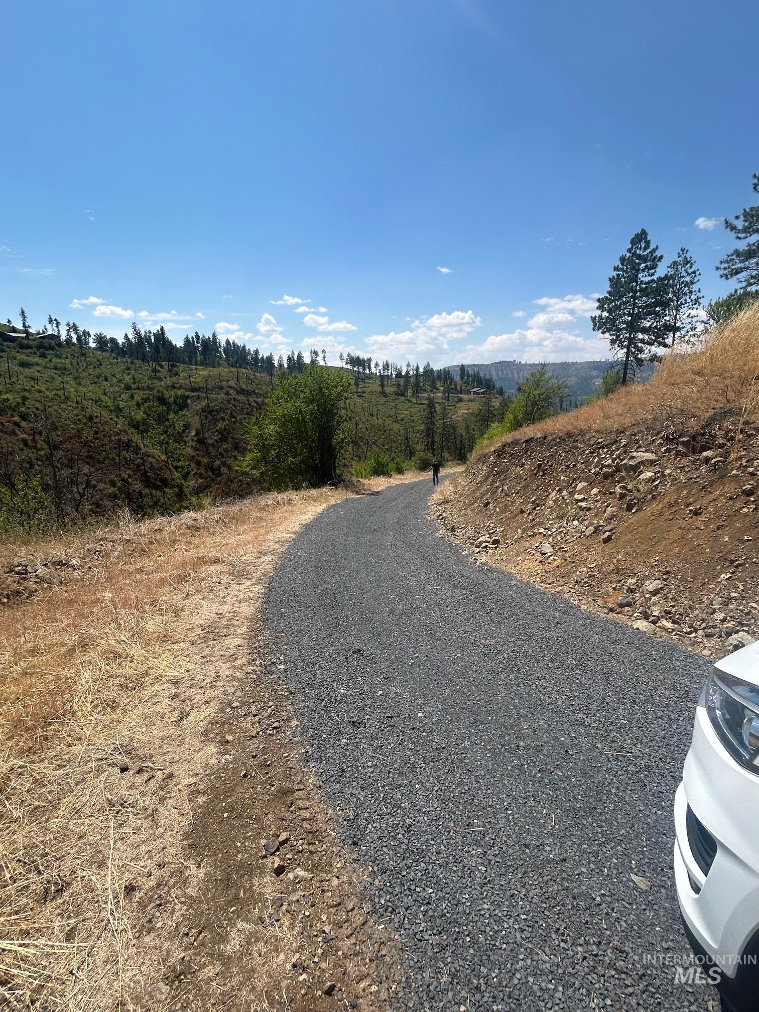 385 Glenwood Road Kamiah, ID 83536 - Photo 6 of 25 View of street