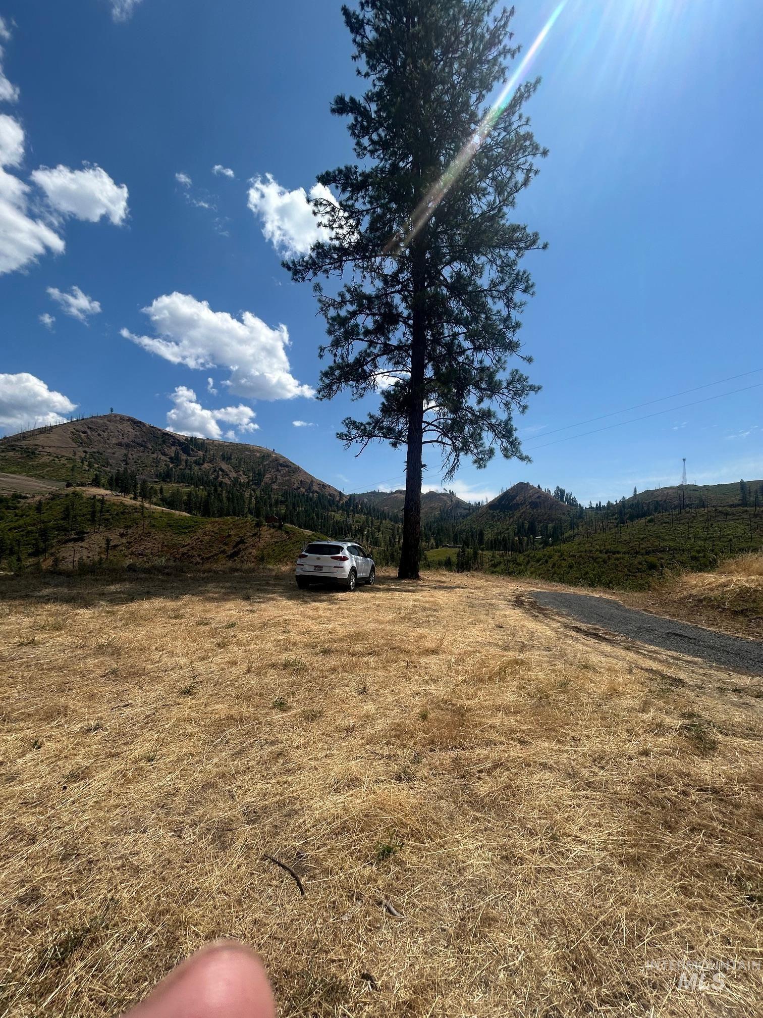 385 Glenwood Road Kamiah, ID 83536 - Photo 7 of 25 Mountain view