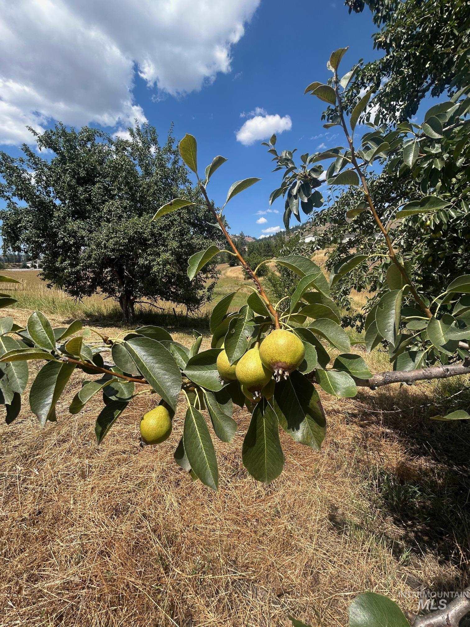 385 Glenwood Road Kamiah, ID 83536 - Photo 8 of 25 Exterior view