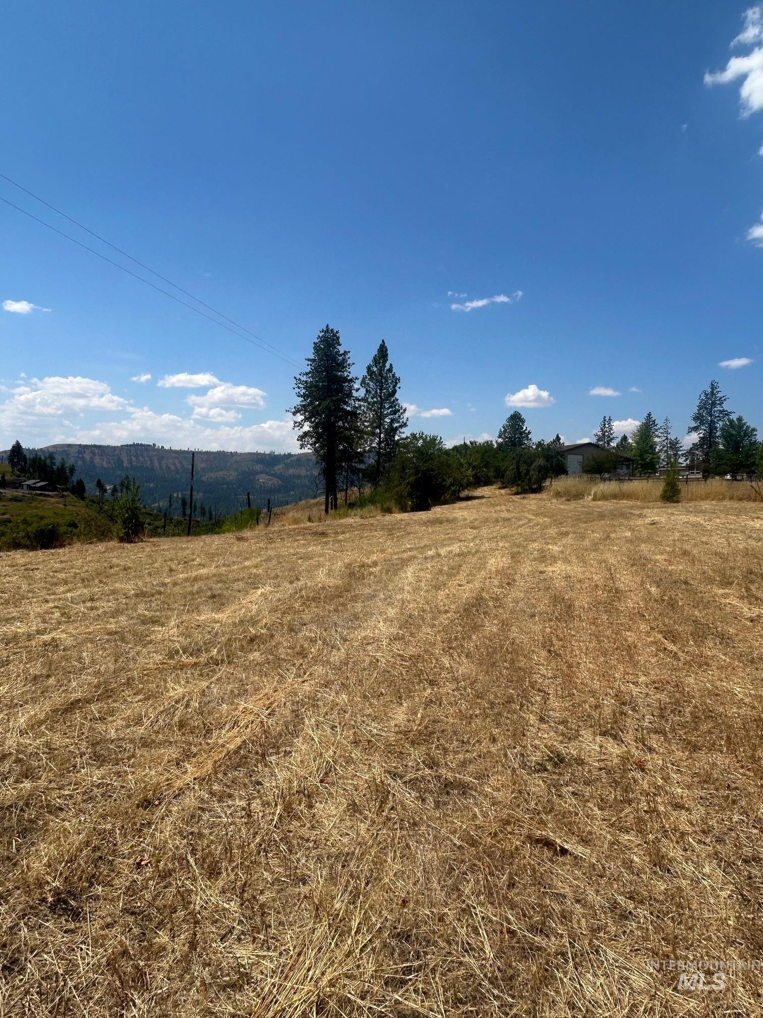 385 Glenwood Road Kamiah, ID 83536 - Photo 9 of 25 View of yard with a rural view