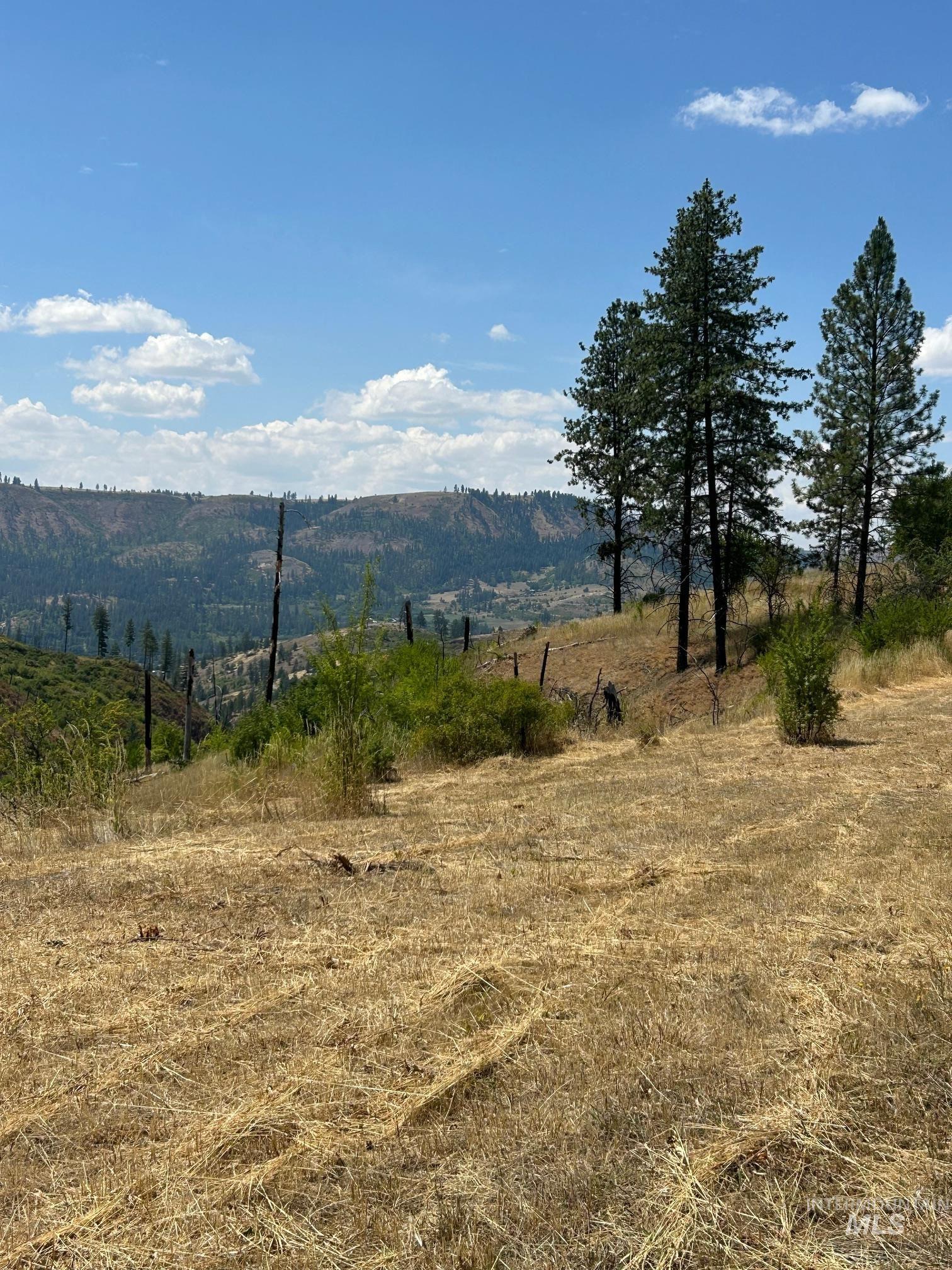 385 Glenwood Road Kamiah, ID 83536 - Photo 10 of 25 View of mountain background with rural landscape
