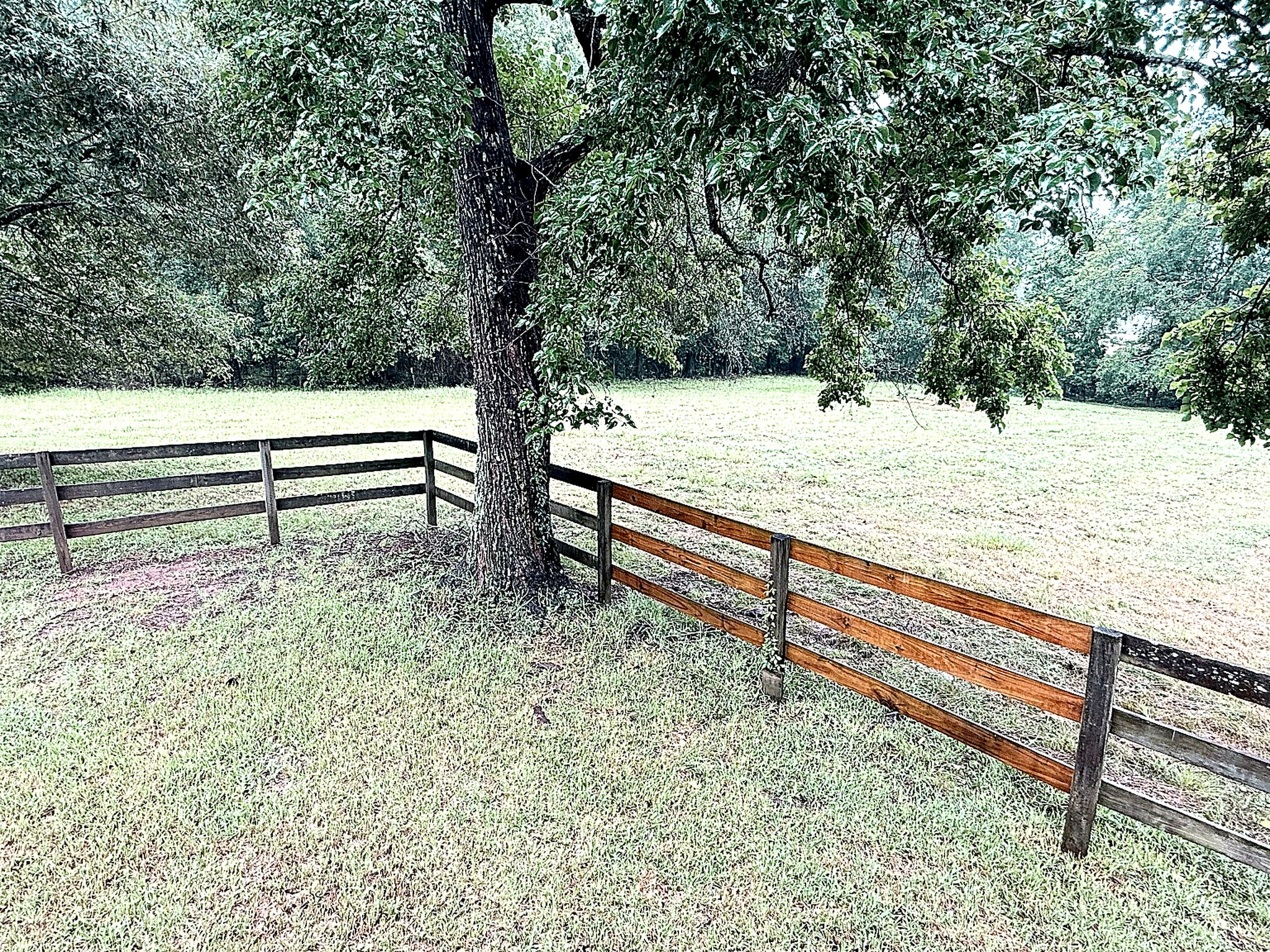 5801 Sapp Road Conroe, TX 77304 - Photo 4 of 35 Big Pastures