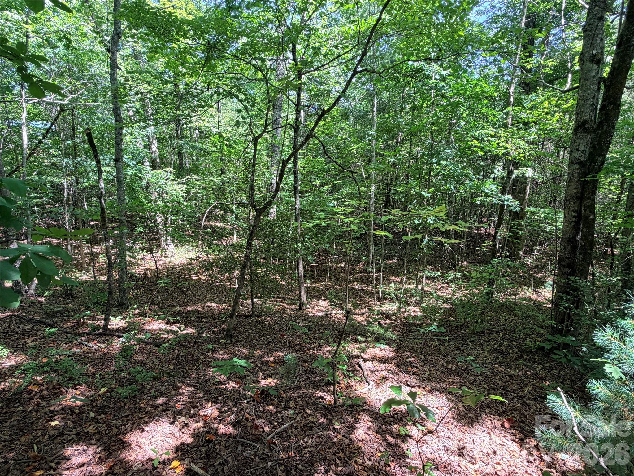0 Grassy Knob Road, Unit 5 Mill Spring, NC 28756 - Photo 3 of 10