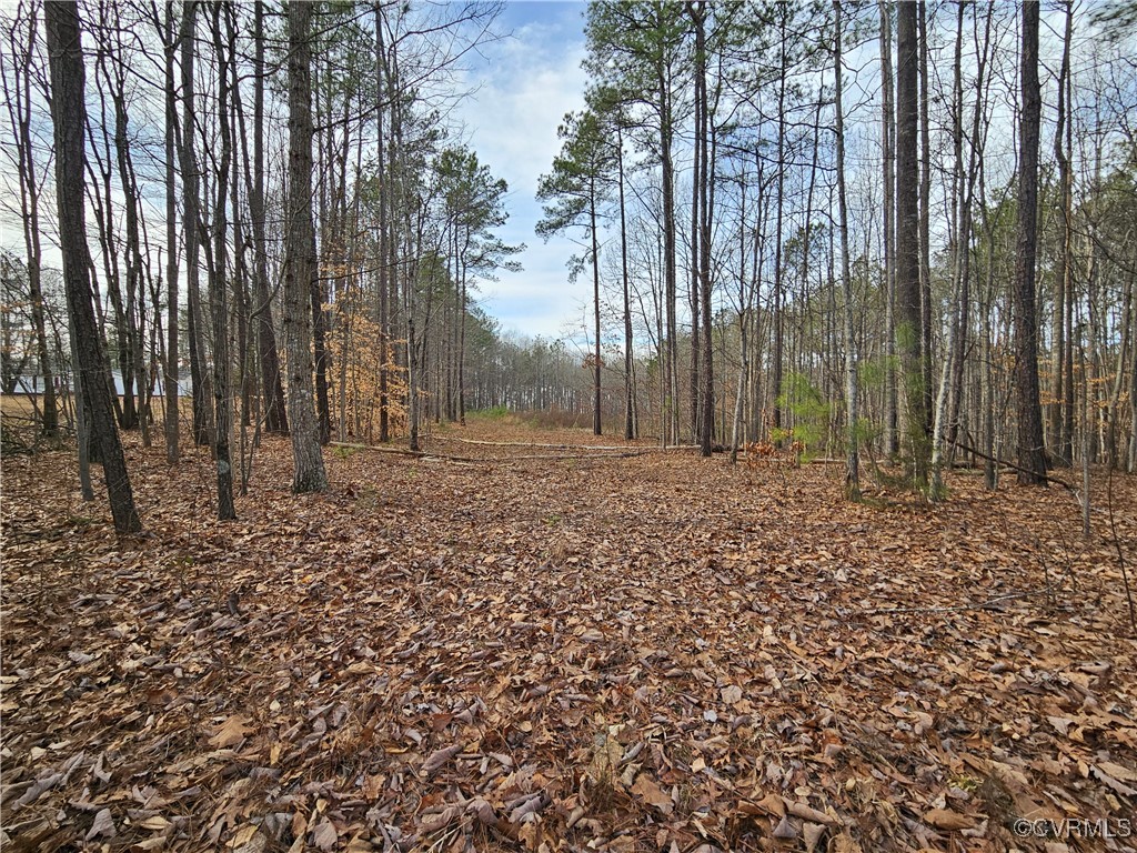 5-ac Scotts Bottom Road Dillwyn, VA 23936 - Photo 7 of 9 View of landscape