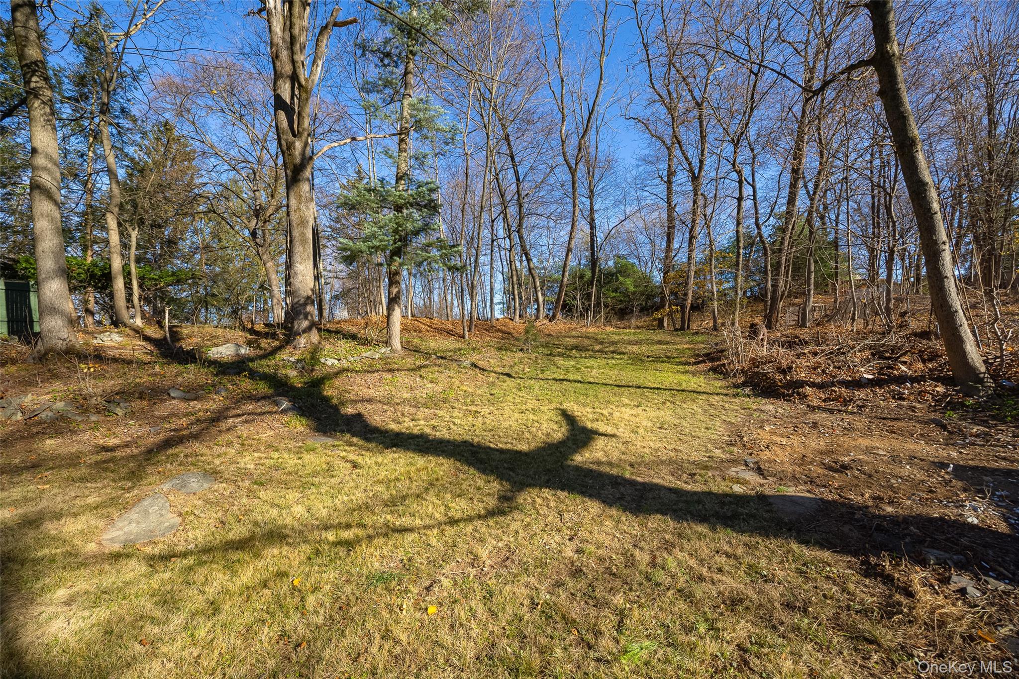 4 Walnut Street Poughkeepsie, NY 12601 - Photo 22 of 26 a view of yard with tree