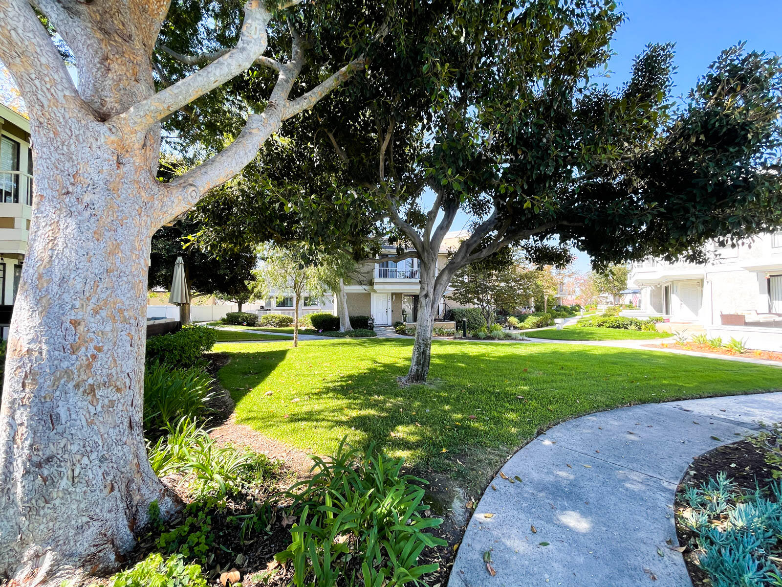 278 South Seneca Circle, Unit 47 Anaheim, CA 92805 - Photo 26 of 29 a view of a house with a big yard plants and large tree