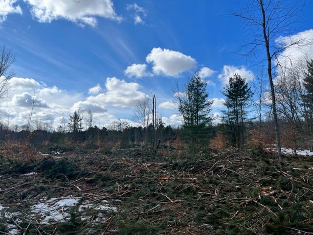 10880 Healy Lake Road Kaleva, MI 49645 - Photo 16 of 38 IMG_4920