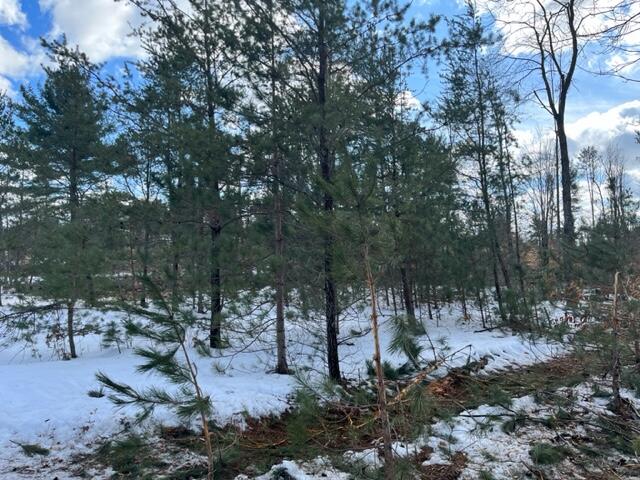 10880 Healy Lake Road Kaleva, MI 49645 - Photo 17 of 38 IMG_4921