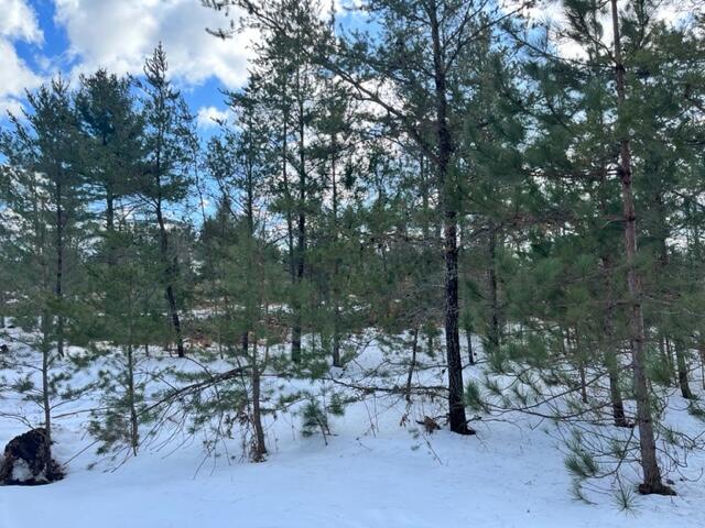 10880 Healy Lake Road Kaleva, MI 49645 - Photo 18 of 38 IMG_4922