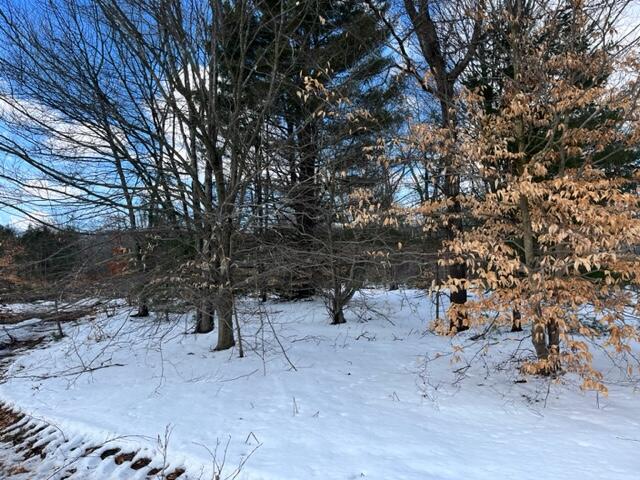 10880 Healy Lake Road Kaleva, MI 49645 - Photo 21 of 38 IMG_4925