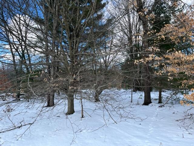 10880 Healy Lake Road Kaleva, MI 49645 - Photo 23 of 38 IMG_4927