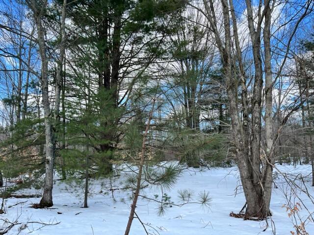 10880 Healy Lake Road Kaleva, MI 49645 - Photo 24 of 38 IMG_4928