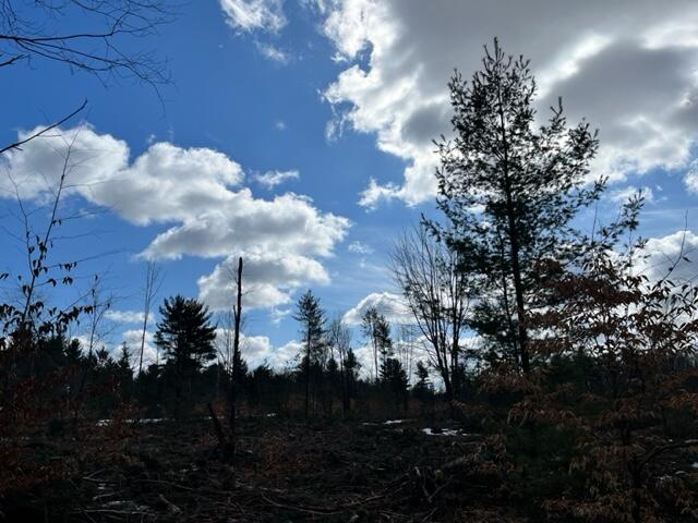 10880 Healy Lake Road Kaleva, MI 49645 - Photo 26 of 38 IMG_4930