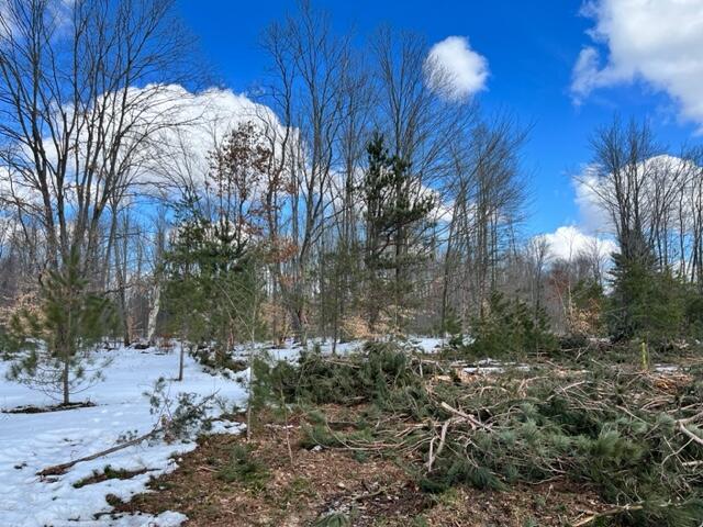 10880 Healy Lake Road Kaleva, MI 49645 - Photo 27 of 38 IMG_4931