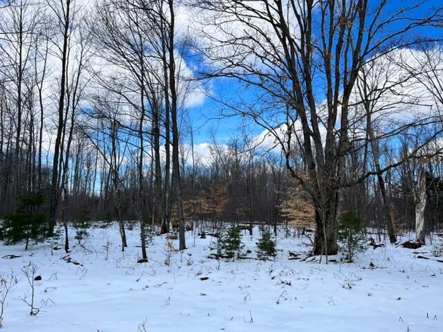 10880 Healy Lake Road Kaleva, MI 49645 - Photo 28 of 38 IMG_4932