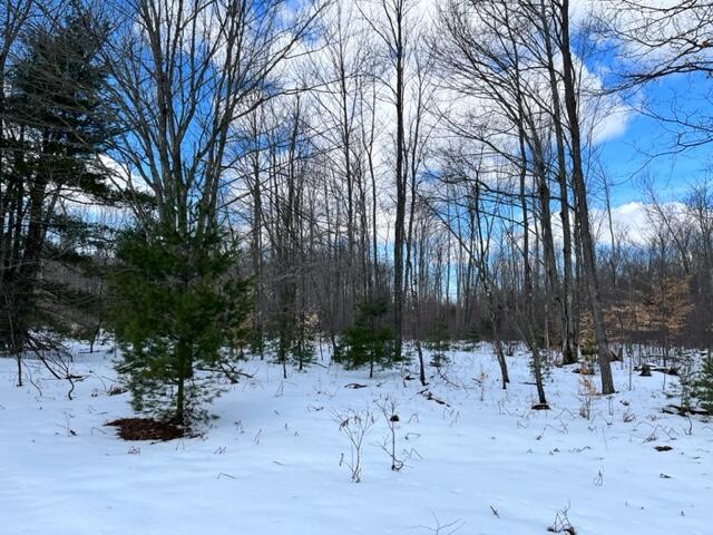 10880 Healy Lake Road Kaleva, MI 49645 - Photo 29 of 38 IMG_4933