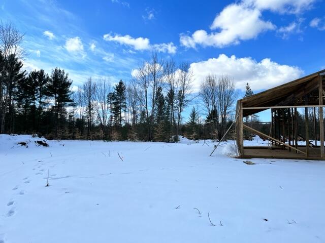 10880 Healy Lake Road Kaleva, MI 49645 - Photo 31 of 38 IMG_4946