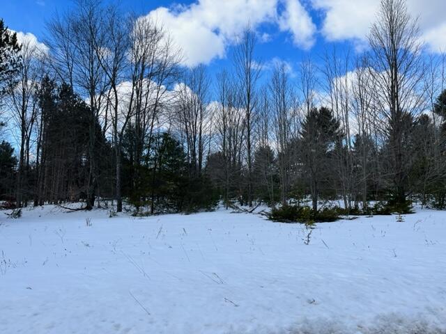 10880 Healy Lake Road Kaleva, MI 49645 - Photo 33 of 38 IMG_4950