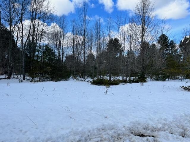 10880 Healy Lake Road Kaleva, MI 49645 - Photo 34 of 38 IMG_4951 (3)