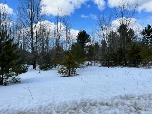 10880 Healy Lake Road Kaleva, MI 49645 - Photo 35 of 38 IMG_4952