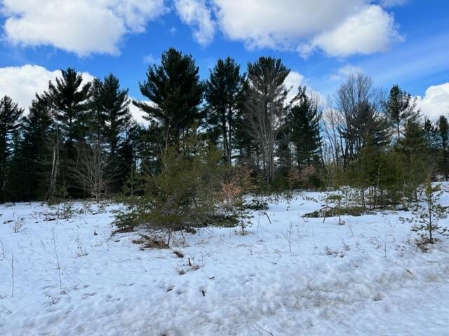 10880 Healy Lake Road Kaleva, MI 49645 - Photo 36 of 38 IMG_4953