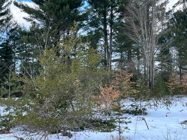 10880 Healy Lake Road Kaleva, MI 49645 - Photo 37 of 38 IMG_4954