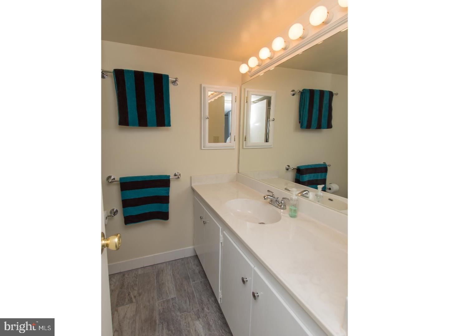 411 Conestoga Road, Unit 12 Devon, PA 19333 - Photo 22 of 25 Master Bathroom