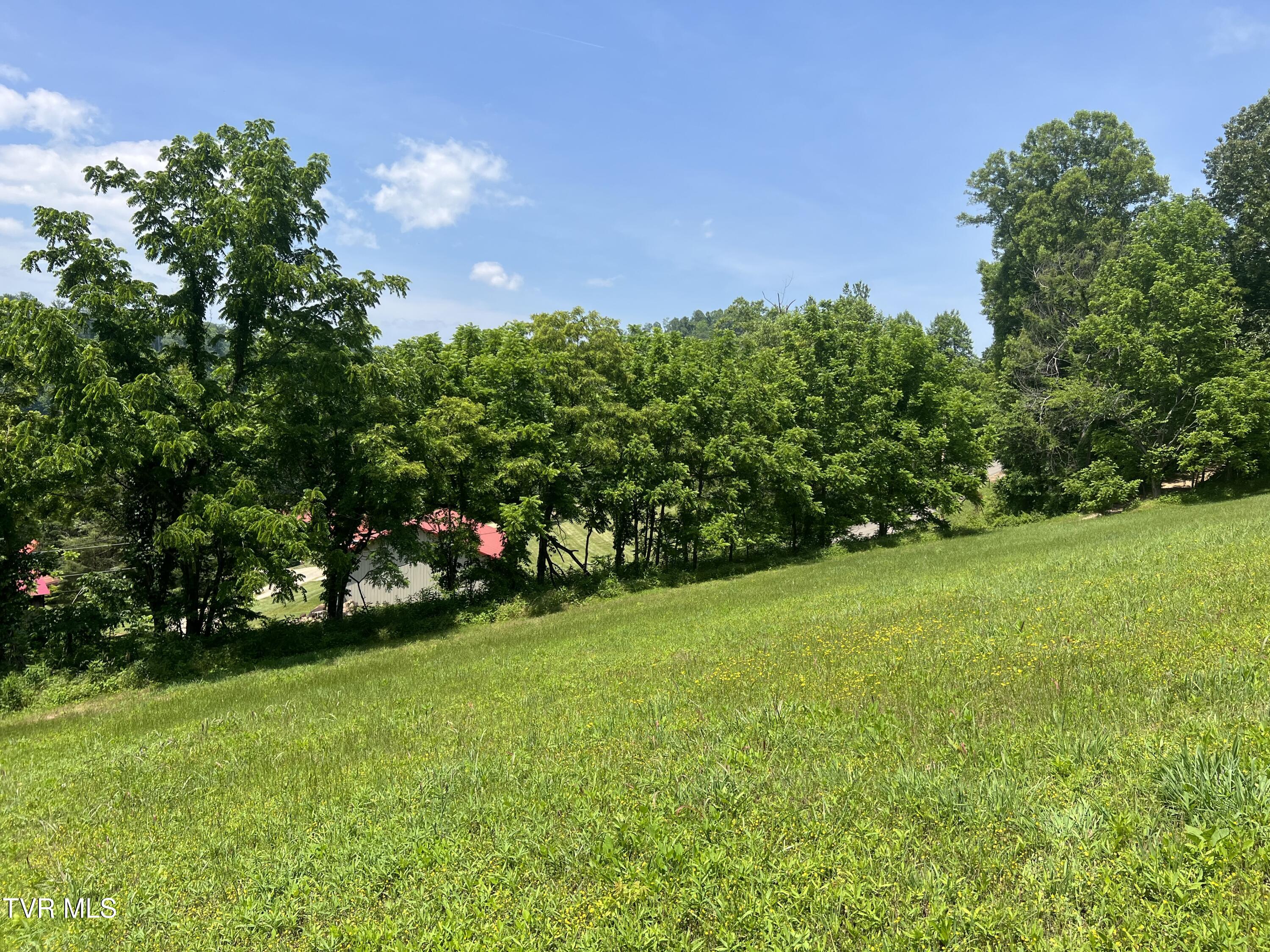 Lot 2 High Country Pvt Road, Unit 2 Butler, TN 37640 - Photo 29 of 32 Watuga lake land 4 (1)