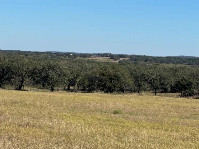 a view of mountain with trees in the background