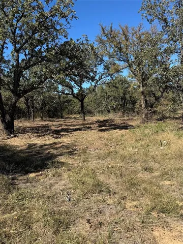 a view of a yard with trees