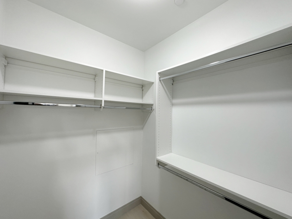 4054 South Indiana Avenue, Unit 2R Chicago, IL 60653 - Photo 13 of 17 a view of an empty walk in closet