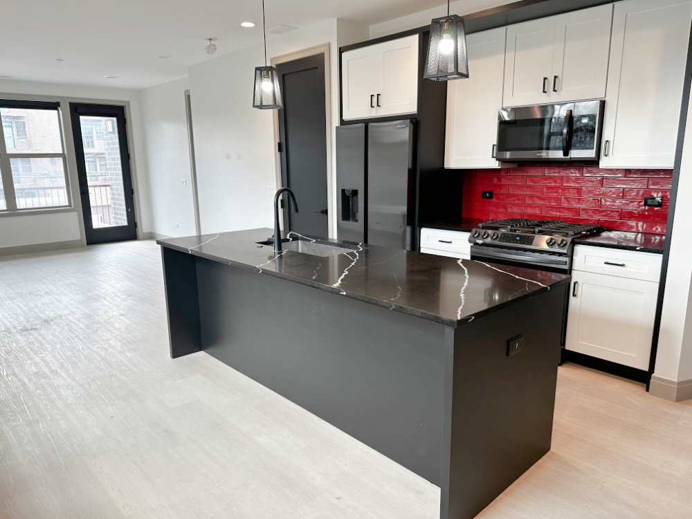 4054 South Indiana Avenue, Unit 2R Chicago, IL 60653 - Photo 3 of 17 a kitchen with stainless steel appliances a sink stove and refrigerator