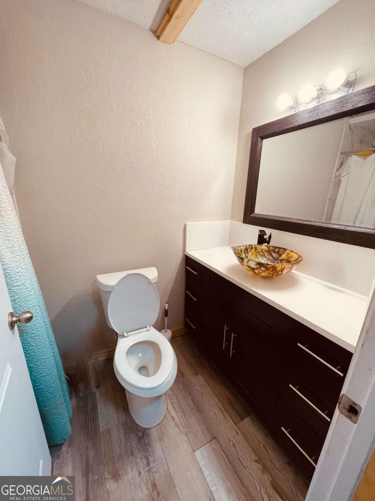 147 McLoon Road Hazlehurst, GA 31539 - Photo 18 of 38 a bathroom with a toilet a sink and a mirror