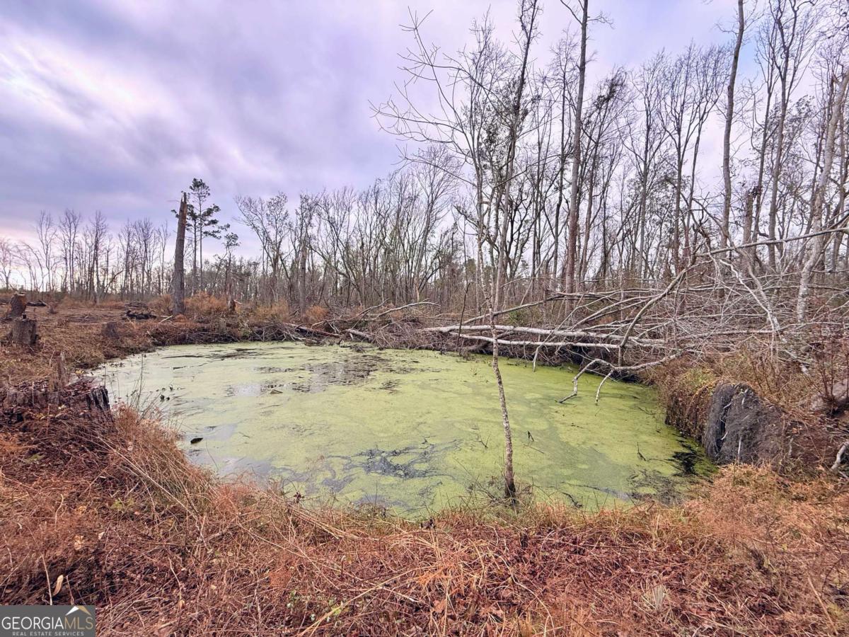 147 McLoon Road Hazlehurst, GA 31539 - Photo 32 of 38 a view of a yard with trees