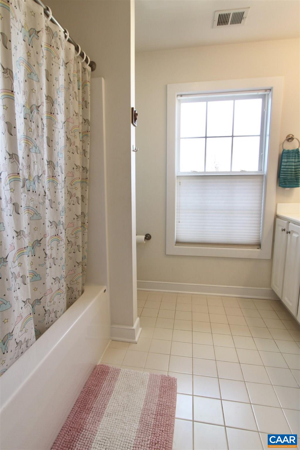 5441 Park Road Crozet, VA 22932 - Photo 16 of 30 a bathroom with a shower