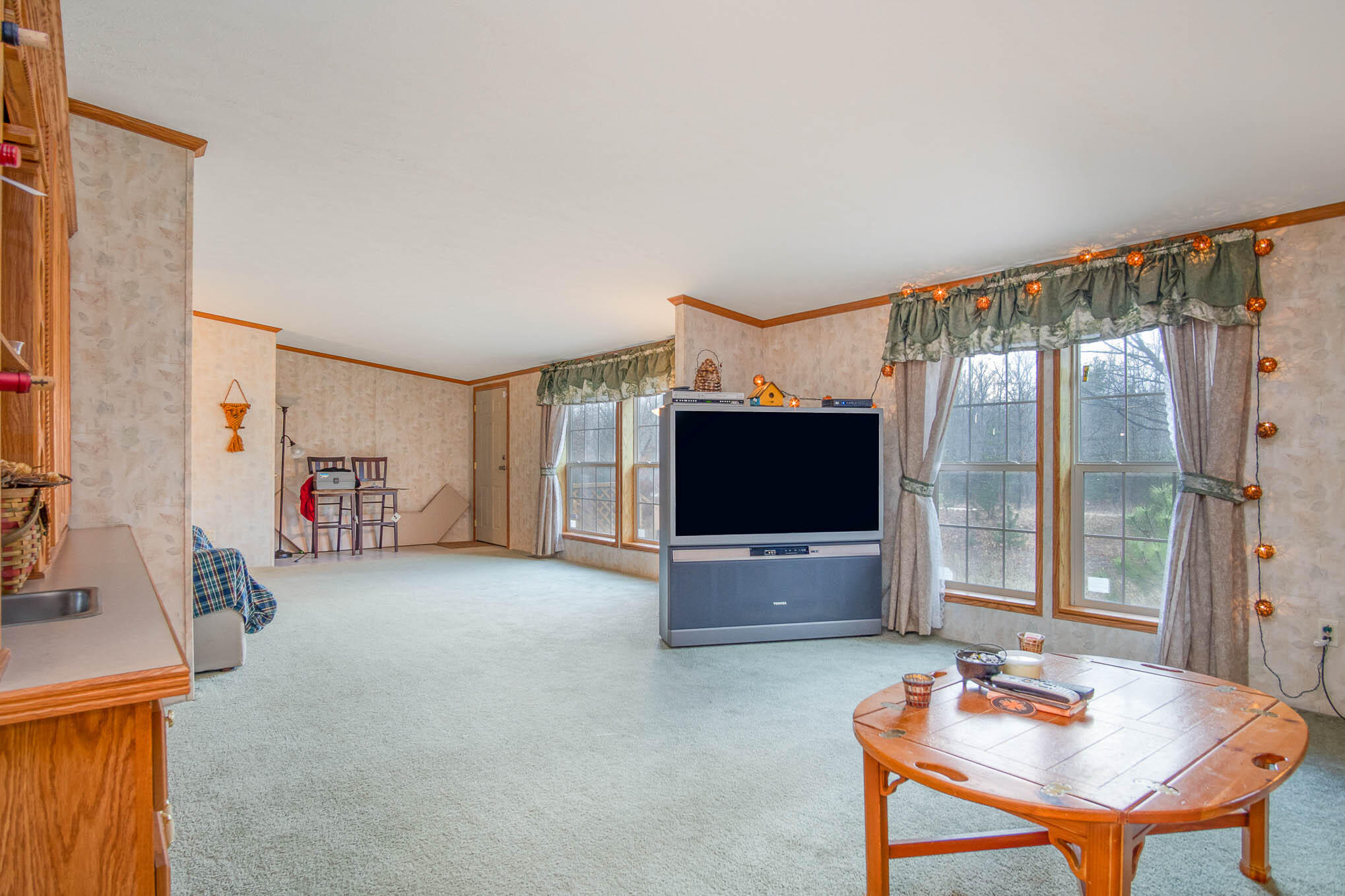 1275 East Clock Road Hart, MI 49420 - Photo 22 of 42 Family/Great