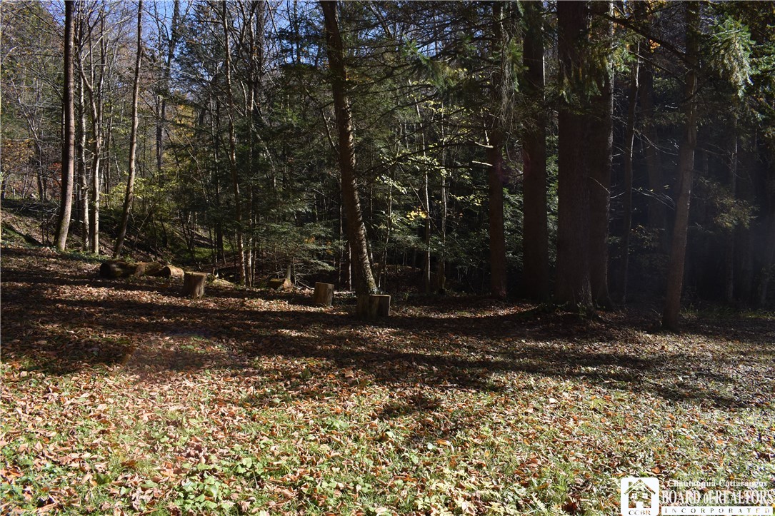 3157 Ball Road Arkwright, NY 14063 - Photo 23 of 28