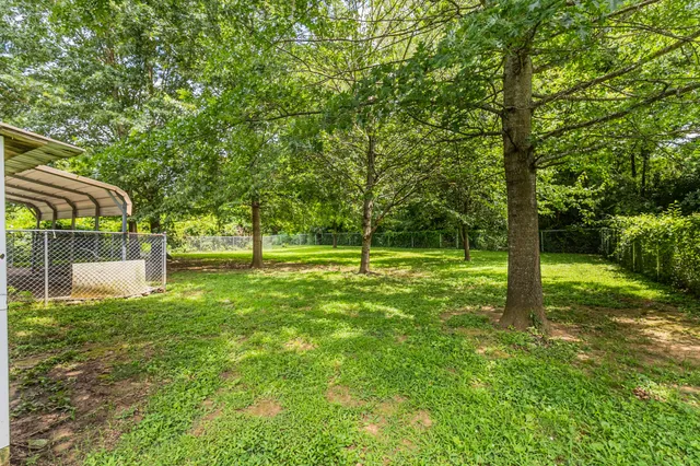 a view of a park with large trees