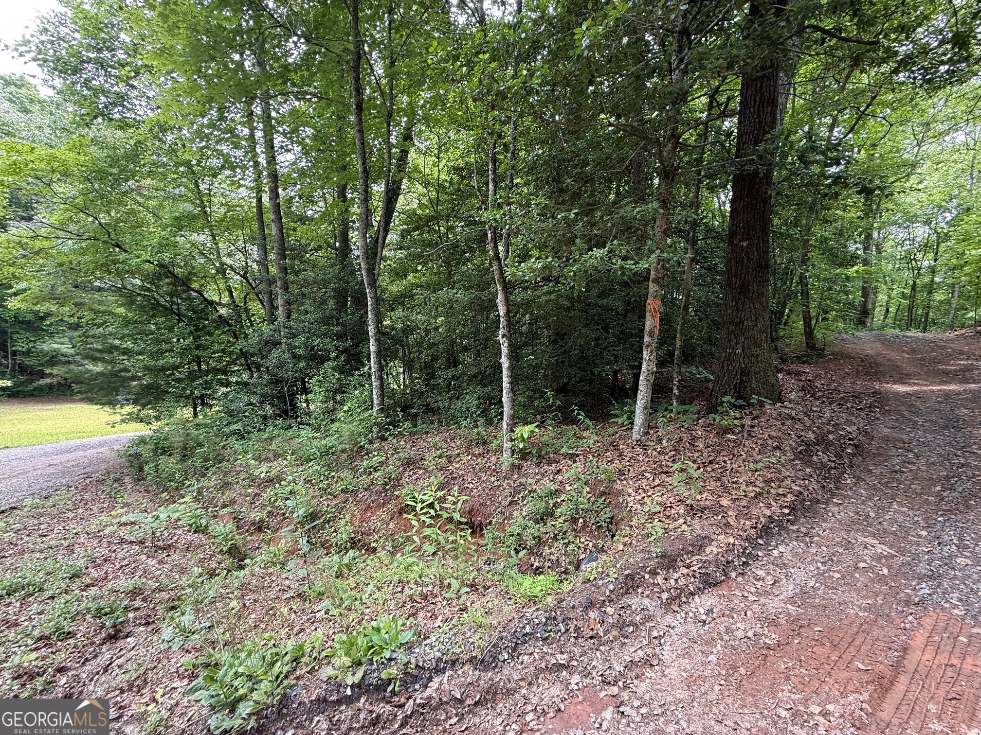 0 Mr Bert Road Hiawassee, GA 30546 - Photo 13 of 22